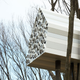 Illustration for article titled These Are The Most Amazing Tree Houses Ever